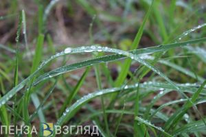 В Пензенской области 11 июня ожидается кратковременный дождь