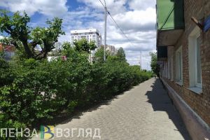 Стало известно, какая погода ждет жителей Пензенской области 14 июня