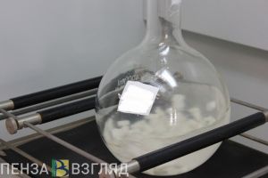 В Пензенской области выявили новые случаи иксодового клещевого боррелиоза