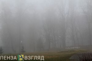 В пятницу на Пензенскую область опустится густой туман
