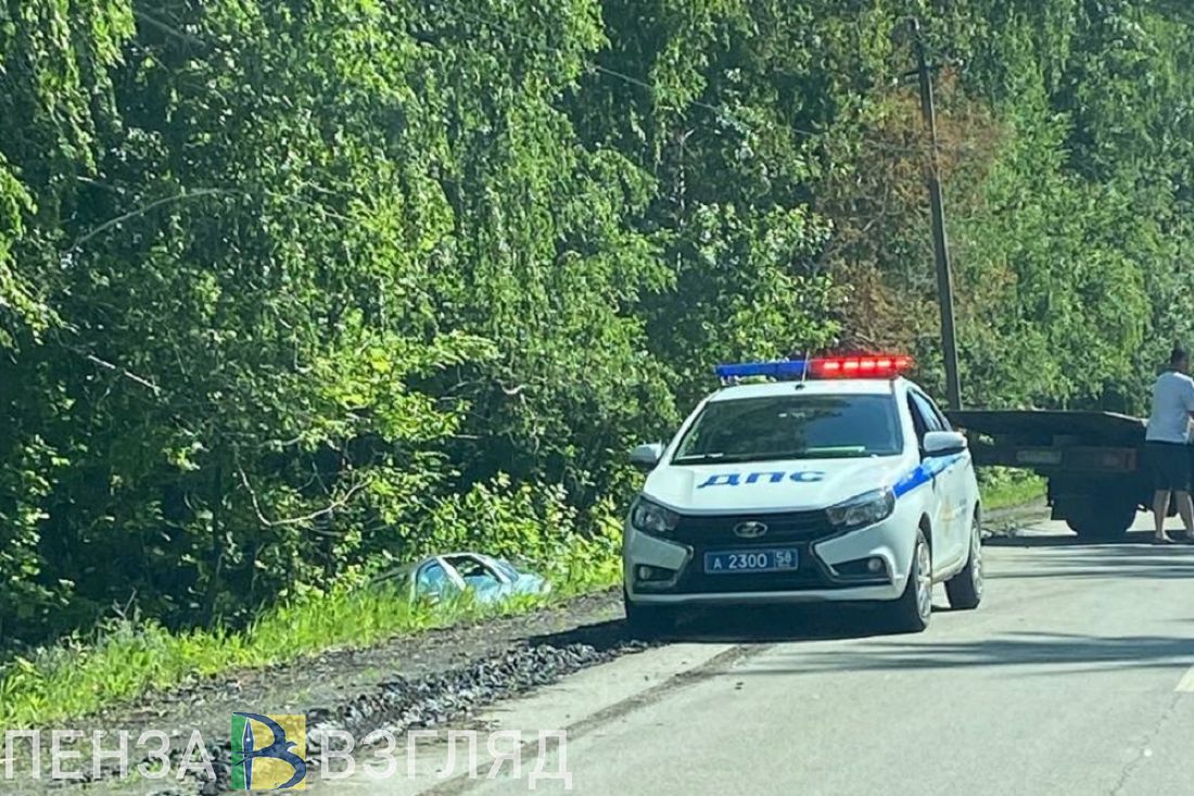 Под Пензой легковой автомобиль вылетел в кювет