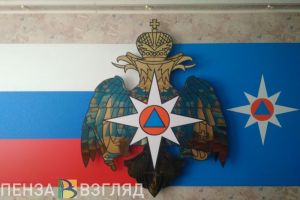 МЧС: в Пензенской области сохранится высокая пожароопасность