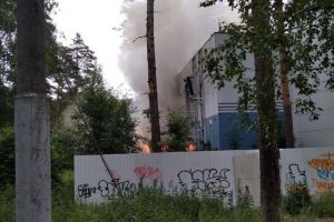 В Заречном произошел пожар на территории парка «Заречье»