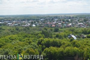 В Пензенской области ищут без вести пропавшего 47-летнего мужчину
