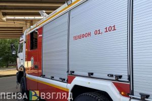 МЧС: при пожаре в селе Пензенской области погиб мужчина