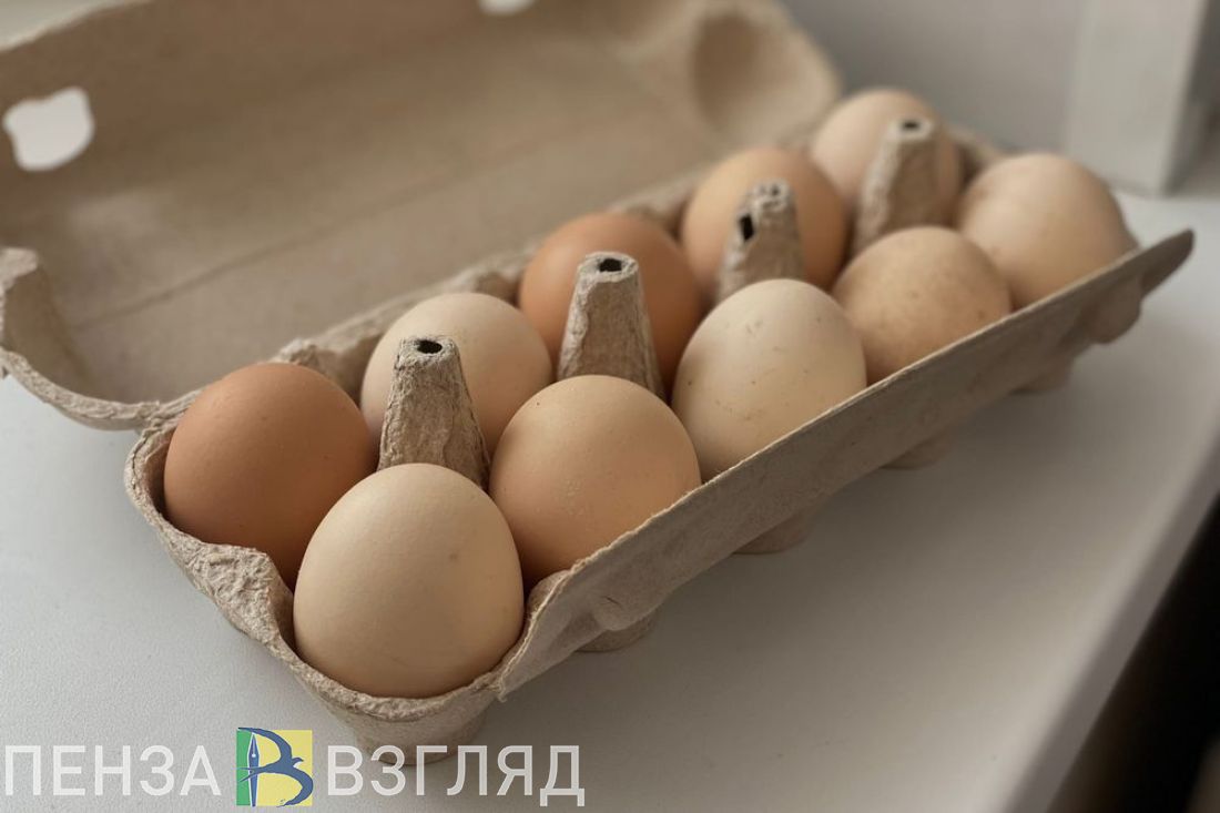 Представитель пензенской мэрии ответила на вопрос депутата о росте цен на  продукты