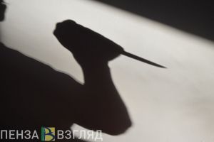 Житель Пензенской области зарезал знакомого