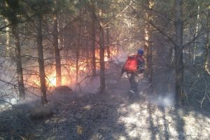 В Кузнецком районе в выходные потушили обширный пожар
