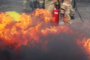 Управление МЧС по Пензенской области: ребенок поджег вату с сеном, спалив сарай отца