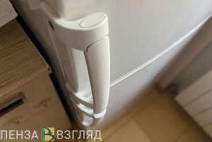 В Пензенской области из дома сельчанки похитили холодильник
