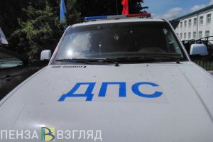 Житель Пензенской области, заступаясь за пьяного друга, избил инспектора ДПС