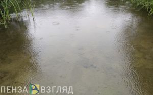 В пензенском водоеме обнаружили тело 19-летнего парня