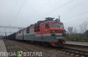 За 6 месяцев сотрудники транспортной полиции Пензы изъяли более 2 кг наркотиков