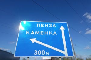 У жителя села Старая Каменка дома обнаружили 54 куста конопли