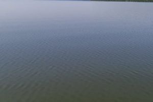 Обнаружено тело погибшего на базе отдыха в Каменском районе