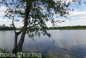 Тело 21-летнего жителя Пензенской области нашли в водоеме