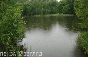 В воскресенье в Пензенской области будет жарко и дождливо