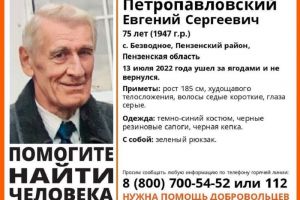 Волонтеры продолжают искать пензенца, который ушел за ягодами и не вернулся
