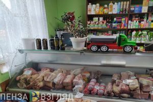 В Пензе вор убедился, что за ним не наблюдают, но забыл про камеры