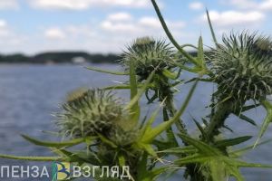 Пензенцам дали рекомендации, как сохранить здоровье детей на отдыхе