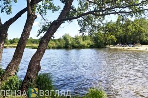В Пензенской области в пруду найдено тело 70-летнего мужчины