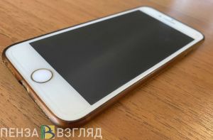 Пензенец не смог уехать из Москвы из-за мошенников