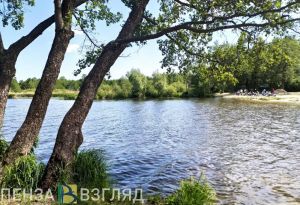 В Пензенской области утонул житель Мордовии