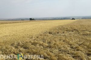 В Пензенской области планируется произвести 2,5 млн тонн зерна