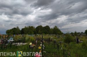 В Каменском районе с кладбища украли ограды