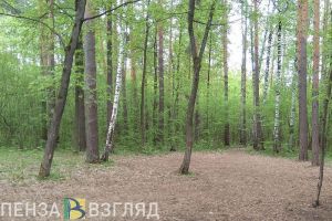 Гулявшему по лесопарковой зоне в Пензе потребовалась экстренная госпитализация