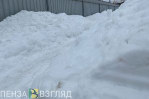 Суд в Пензенской области отправил водителя в тюрьму после наезда на сугроб