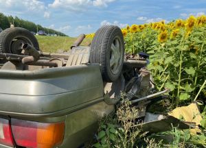В жестком ДТП в Шемышейском районе трое погибли, двое пострадали