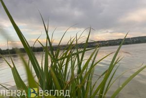 В Сердобском районе утонул молодой мужчина
