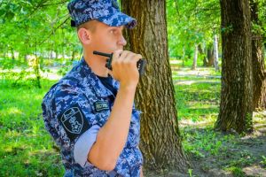В Пензе мужчина держался за дерево, чтобы не утонуть в болоте