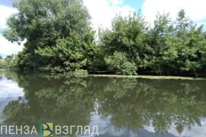 На Суре в Пензе обнаружен труп мужчины