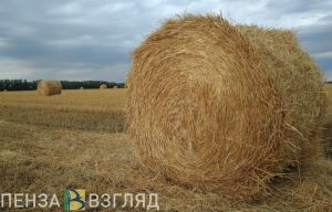 Рано утром в Пензенской области вспыхнули тюки с сеном