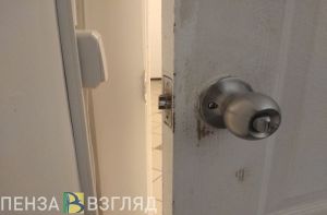 В Каменке мужчина попытался ограбить магазин