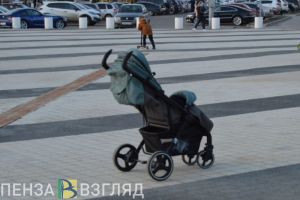 Столярова рассказала про пензенскую девочку, которую мама забыла в коляске у магазина