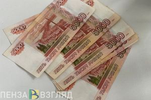 Жительница Пензенской области придумала ребенка, чтобы получить за него маткапитал