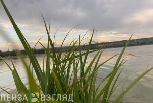 Тело утонувшего под Пензой парня достали водолазы