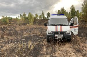 В Пензенской области из-за пожара на поле с пшеницей могут возбудить уголовное дело