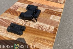 Пензенский областной суд десятикратно ужесточил наказание для уклониста