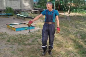 В Пензе гадюка заползла в песочницу
