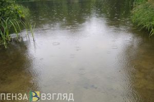 Недалеко от Пензы спасатели достали из воды тело мужчины