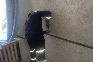 В Пензенской области спасатели вытащили котенка из-за фальшстены