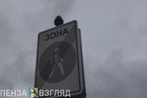 Соцсети: на трассе «Урал» под Пензой погибли женщина и ребенок