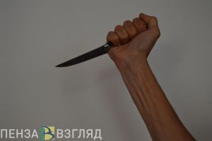Жителю Никольска, изрешетившему жертву ножом, вынесен приговор