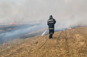 В Пензенской области ликвидировали возгорание сухой травы на площади 10 га