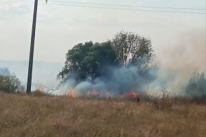 В Каменском районе пожарные тушили три гектара горящей сухой травы