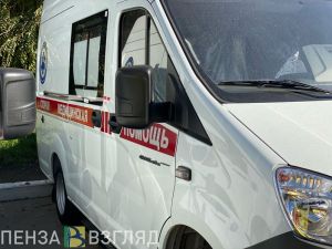 Уроженец Пензенской области на мусоровозе сбил двух детей в подмосковной Истре